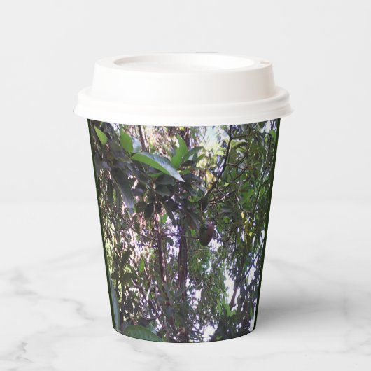 アボカドツリー 紙コップ (正面)
