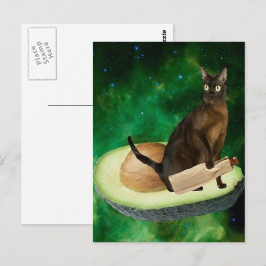 アボカド猫 ポストカード (正面/裏面)