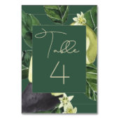 アボカド |ダークグリーン素朴フルーツパーティー テーブルナンバー (正面)