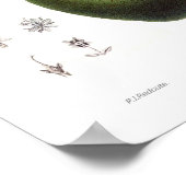 アボカド(ペルシーアメリカーナ) ポスター (角)