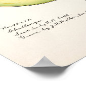 アボカド(ペルシー)フルーツウォーター絵画カラーのポスター ポスター (角)