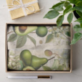 アボカド 薄葉紙 (ギフト)