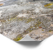 アボカ春、ビスケット盆地、イエローストーン ポスター (角)