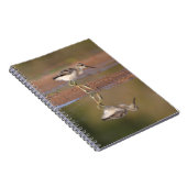 アボケヒック ノートブック (右側)