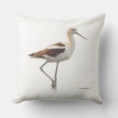 アボケ素晴らしトのアメリカ鳥がビーチを散歩 クッション (正面)