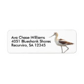 アボケ素晴らしトのアメリカ鳥がビーチを散歩 ラベル (正面)