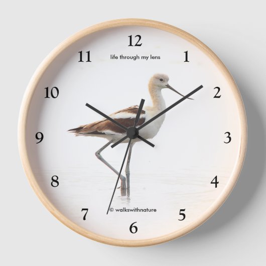 アボケ素晴らしトのアメリカ鳥がビーチを散歩 壁時計 (正面)