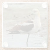 アボケ素晴らしトのビーチ ガラスコースター (裏面)