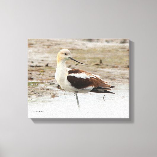 アボケ素晴らしトのビーチ キャンバスプリント (正面)