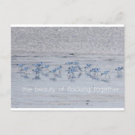 アボセット美しい シーズンポストカード