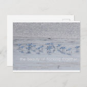 アボセット美しい シーズンポストカード (正面/裏面)