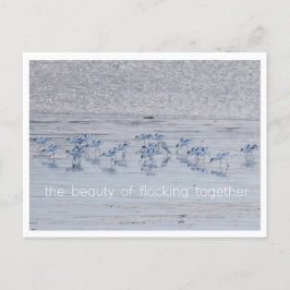 アボセット美しい シーズンポストカード