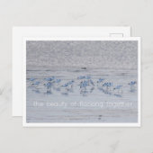 アボセット美しい シーズンポストカード (正面/裏面)