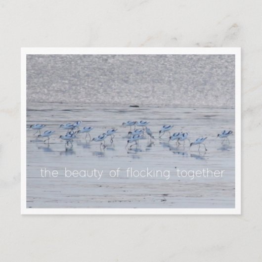 アボセット美しい シーズンポストカード (正面)