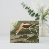 アボセット ポストカード (スタンド正面)