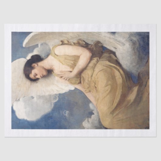 アボットハンダーソンセイヤー |翼姿- 1889 薄葉紙 (正面)