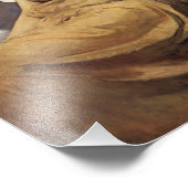 アボット・ハンダーソン・セイヤー翼のある姿 フォトプリント            (角)