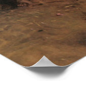 アボット・ハンダーソン・セイヤー・ザ・ヴァージン ポスター (角)