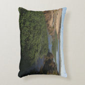 アボット・ラグーンIアットポイントレイエス国立海岸 アクセントクッション (正面(垂直))