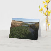 アボット・ラグーンIアットポイントレイエス国立海岸 カード (黄色い花)