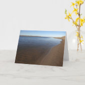 アボット・ラグーンIIアットポイントレイエス国立海岸 カード (黄色い花)