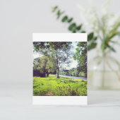 アボツフォード ポストカード (スタンド正面)