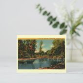 アボンデールパーク、バーミンガム、アラバマヴィンテージ ポストカード (スタンド正面)