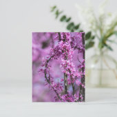 アボンデールレッドバッドの芸術 ポストカード (スタンド正面)