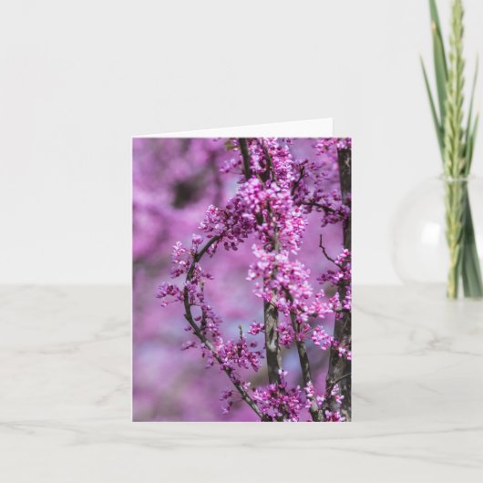 アボンデールレッドブドアート カード (正面)