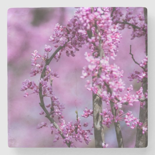 アボンデールレッドブドアート ストーンコースター (正面)