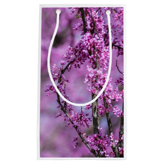 アボンデールレッドブドアート スモールペーパーバッグ (正面)