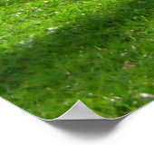 アボンリバービュークリスティチャーチNZ ポスター (角)