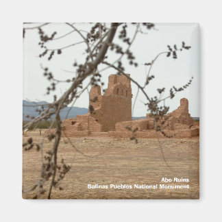 アボ遺跡サリーナスプエブロス国家門… マグネット