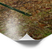 「アポイントメントのみ」 フォトプリント            (角)