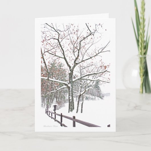 アポイントメントの自然：休日の挨拶 シーズンカード (正面)