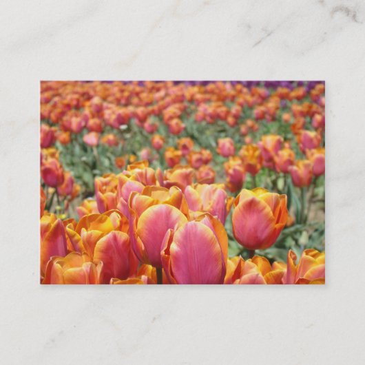 アポイントメントカード医療用歯科用管腔 予約カード (正面)