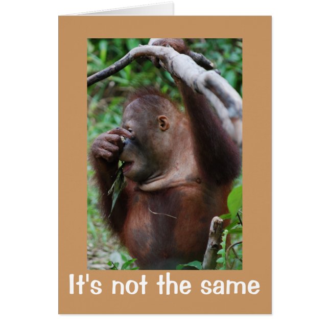 アポストロフィーの残虐行為 (正面)