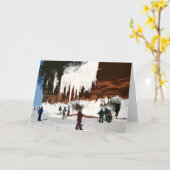 アポスル諸島国家レイクショアアイスケーブ カード (黄色い花)