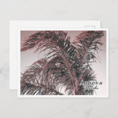 アポプカフロリダ ポストカード (正面/裏面)