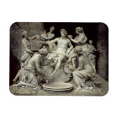 アポロはニンフの世話を受け、成虫を目的とした マグネット (横)