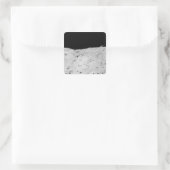 アポロパノラミック スクエアシール (バッグ)