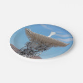 アポロ深い宇宙皿 ペーパープレート (アングル)