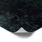 アポロ16号の発射 ポスター (角)