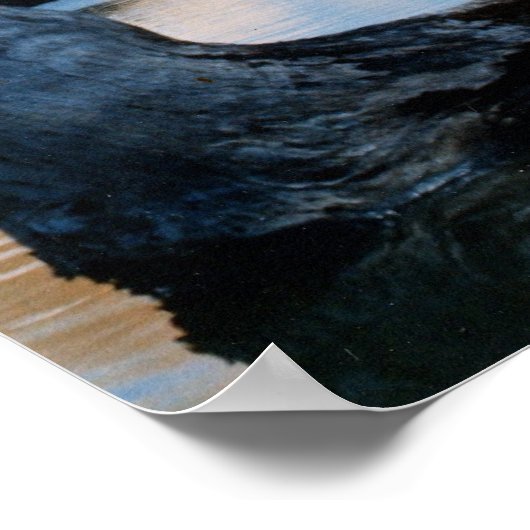 アポロ16号の発射 ポスター (角)