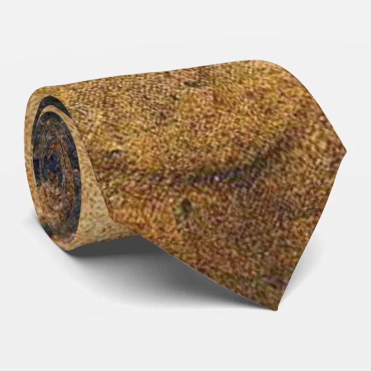 アポロ1630年 ネクタイ (ロール)