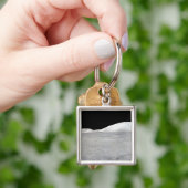 アポロ17パノラマ キーホルダー (手)