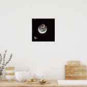 アポロ ポスター (キッチン)