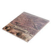 アポロEpikourios、紀元前のc.450-20の寺院 タイル (側面)