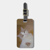 アポロTurkishヴァンLuggage Tag ラゲッジタグ (正面縦)