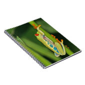 アマガエルの写真 ノートブック (右側)